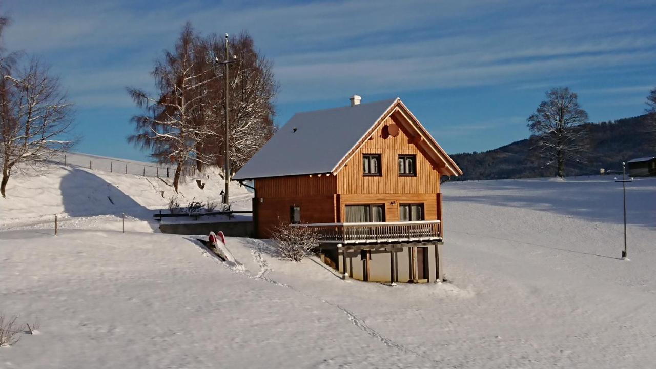 Ferienhaus Laerchenhuette Villa Obergosel Exterior photo