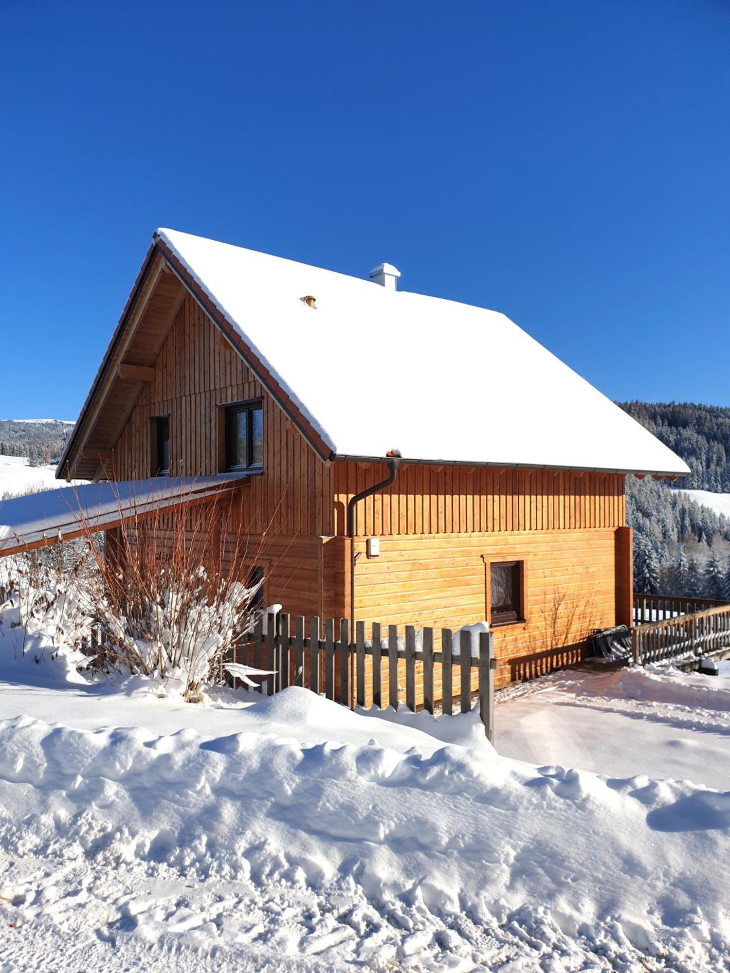 Ferienhaus Laerchenhuette Villa Obergosel Exterior photo